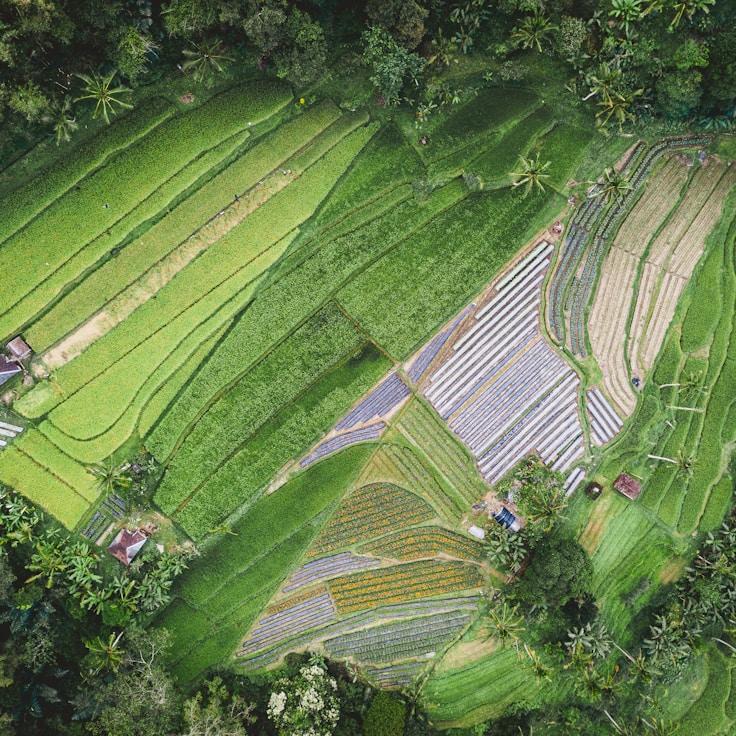 Outdoor terrace seating suitable for families in Madrid